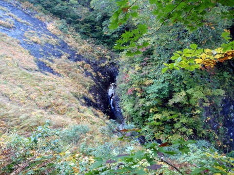 2011.10.8-10 穴堂沢 カケス沢(沢登り)
