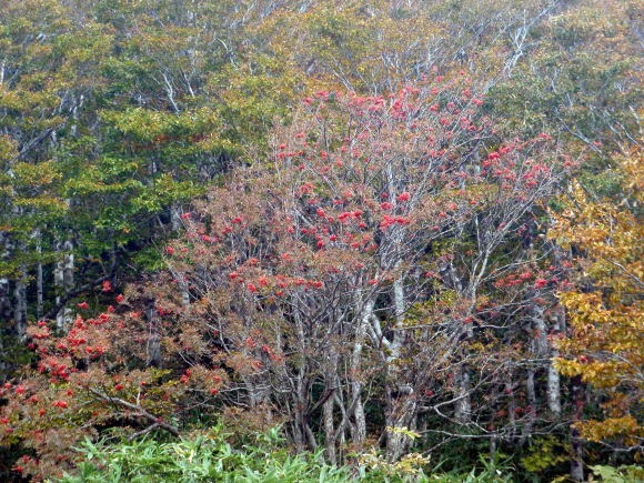 2011.10.8-10 穴堂沢 カケス沢(沢登り)