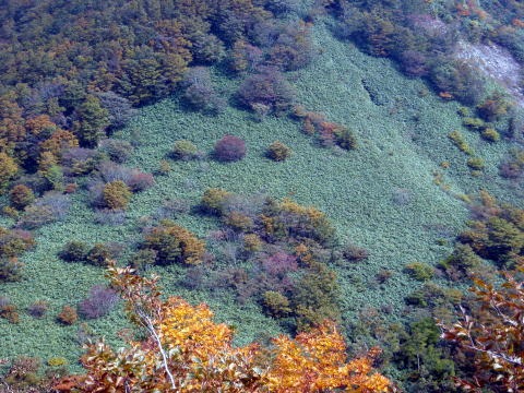 2011.10.8-10 穴堂沢 カケス沢(沢登り)