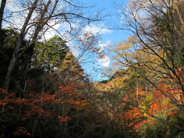2011.10.15 大薙沢右俣 四郎沢(沢登り)