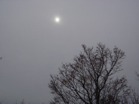 2011.11.5 湯ノ倉山(尾根歩き)