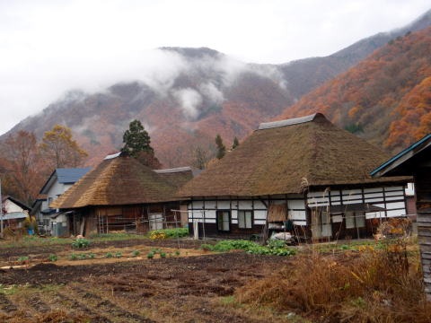 2011.11.5 湯ノ倉山(尾根歩き)