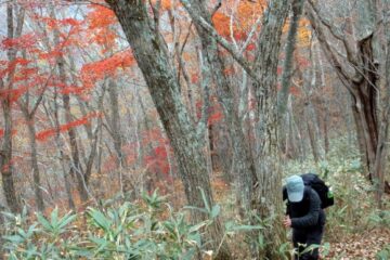 2011.11.5　湯ノ倉山（尾根歩き）