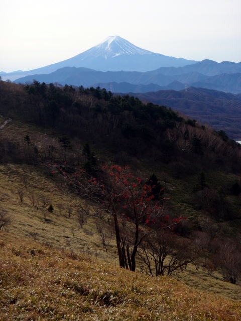 2011.11.27 サカリ山(尾根歩き)