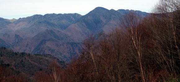 2011.11.27 サカリ山(尾根歩き)