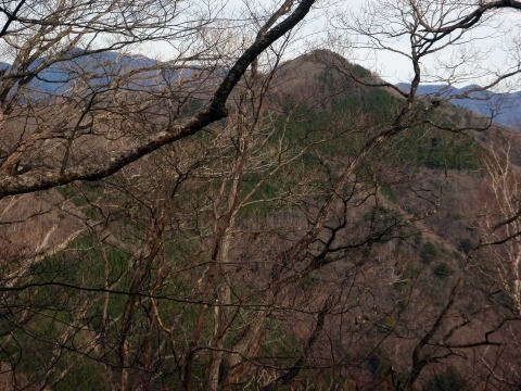 2011.11.27 サカリ山(尾根歩き)