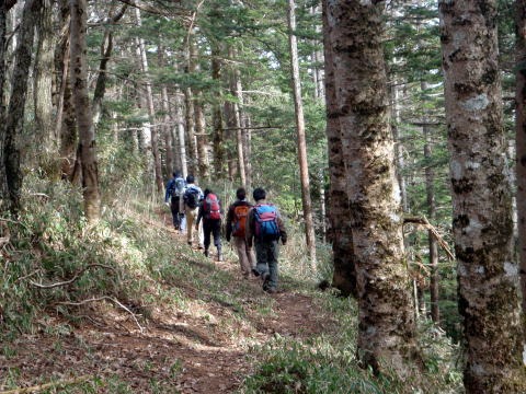 2011.11.27 サカリ山(尾根歩き)