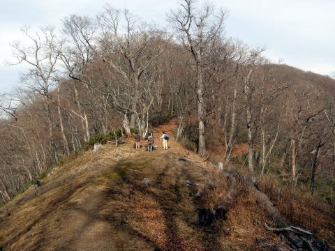 2011.11.27 サカリ山(尾根歩き)