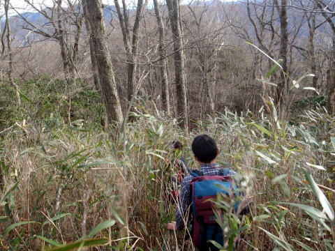 2011.11.27 サカリ山(尾根歩き)