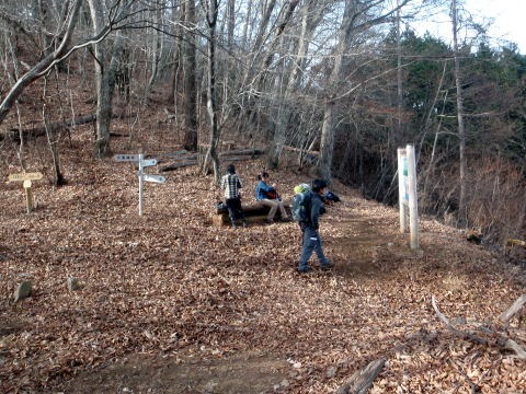 2011.11.27 サカリ山(尾根歩き)