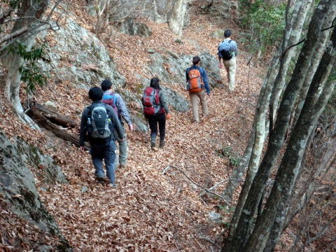 2011.11.27 サカリ山(尾根歩き)