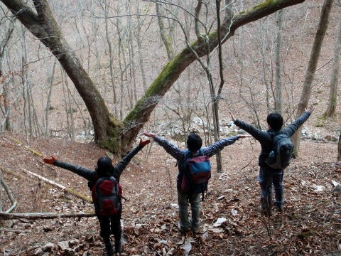 2011.11.27 サカリ山(尾根歩き)
