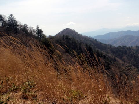 2013.4.14 山伏峠~西丸~東丸(尾根歩き)