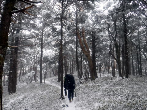 2025.3.29-30 八ツ・権現岳（雪山）