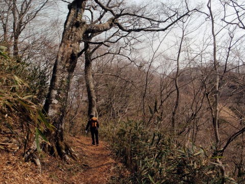2013.4.14 山伏峠~西丸~東丸(尾根歩き)