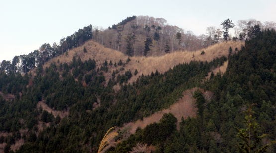 2013.4.14 山伏峠~西丸~東丸(尾根歩き)
