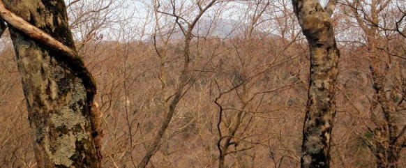 2013.4.14 山伏峠~西丸~東丸(尾根歩き)