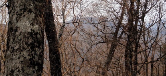 2013.4.14 山伏峠~西丸~東丸(尾根歩き)