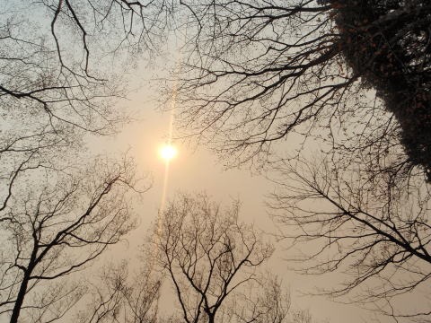 2013.4.14 山伏峠~西丸~東丸(尾根歩き)