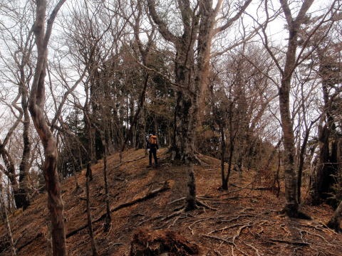 2013.4.14 山伏峠~西丸~東丸(尾根歩き)