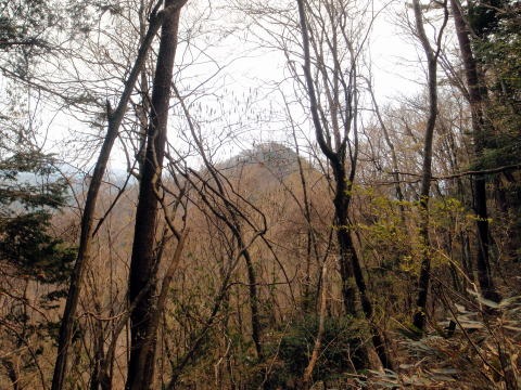 2013.4.14 山伏峠~西丸~東丸(尾根歩き)