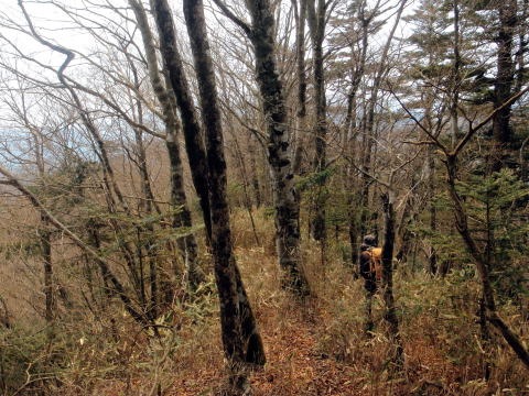 2013.4.14 山伏峠~西丸~東丸(尾根歩き)