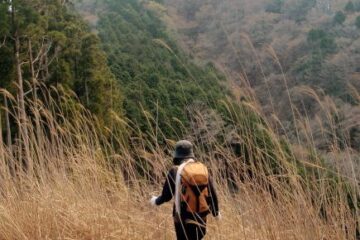 2013.4.14　山伏峠～西丸～東丸（尾根歩き）