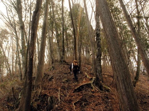 2013.4.14 山伏峠~西丸~東丸(尾根歩き)