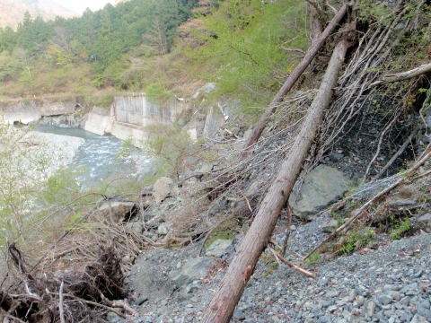 2013.4.14 山伏峠~西丸~東丸(尾根歩き)