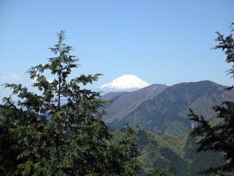 2013.4.28　塔ノ岳（尾根歩き）