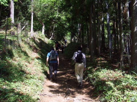 2013.4.28　塔ノ岳（尾根歩き）