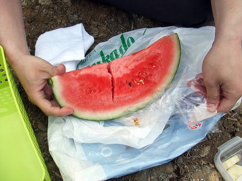 2013.4.28　塔ノ岳（尾根歩き）