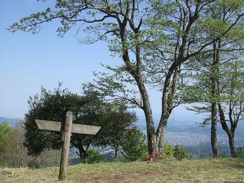 2013.4.28　塔ノ岳（尾根歩き）