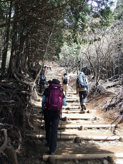 2013.4.28　塔ノ岳（尾根歩き）