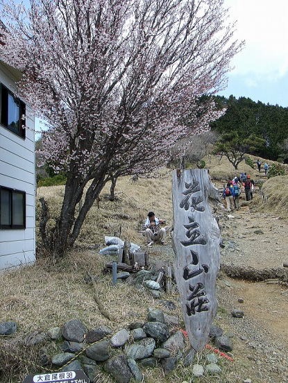 2013.4.28　塔ノ岳（尾根歩き）