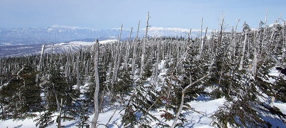 2013.2.16-17 北横岳(雪山)