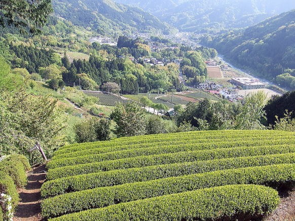 2013.4.28　塔ノ岳（尾根歩き）