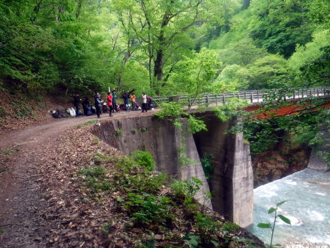 2025.5.24-25 赤湯山菜山行（ハイキング・イベント）