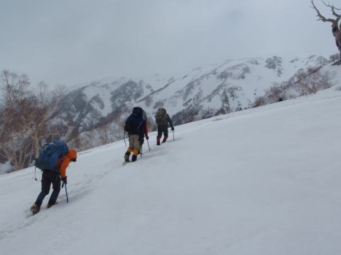 2013.5.3-6 白馬岳 小蓮華尾根(雪山)
