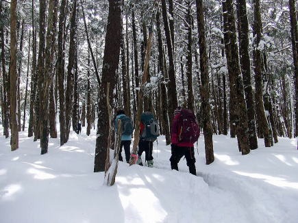 2013.2.16-17 北横岳(雪山)