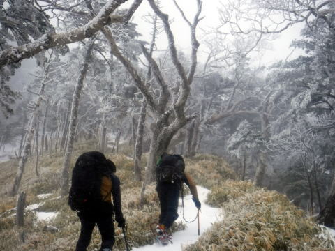 2025.3.29-30 八ツ・権現岳（雪山）