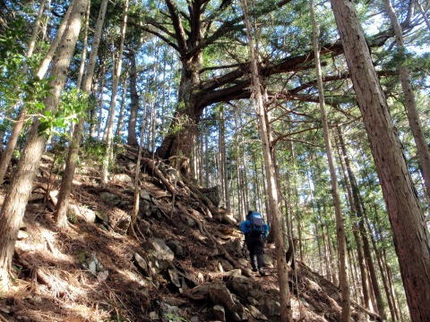 2013.2.24 蕎麦粒山(尾根歩き)