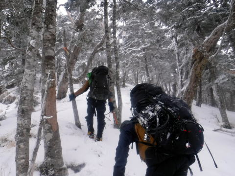 2025.3.29-30 八ツ・権現岳（雪山）