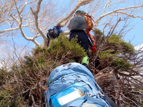 2013.5.3-6 白馬岳 小蓮華尾根(雪山)