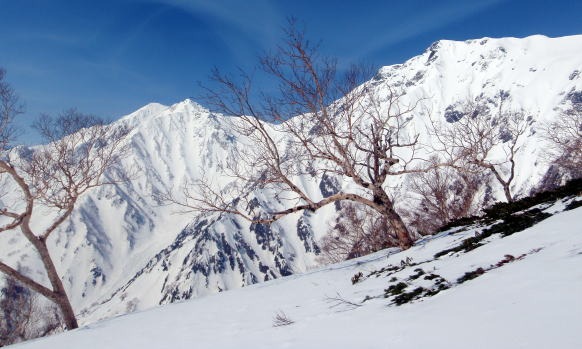 2013.5.3-6 白馬岳 小蓮華尾根(雪山)