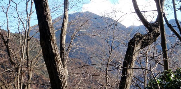 2013.2.24 蕎麦粒山(尾根歩き)