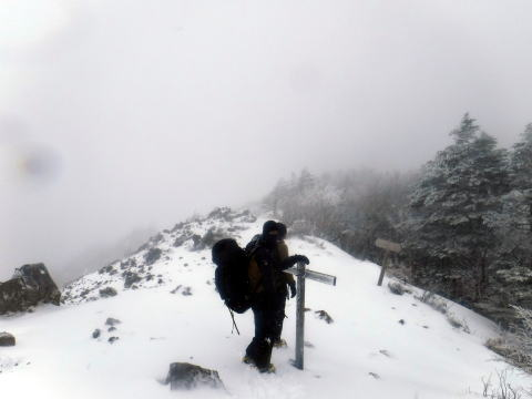 2025.3.29-30 八ツ・権現岳（雪山）