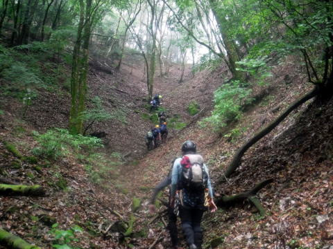 2025.6.15 奥多摩・軍刀利沢(沢登り)(沢登り)