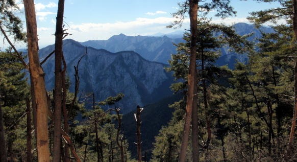 2013.2.24 蕎麦粒山(尾根歩き)