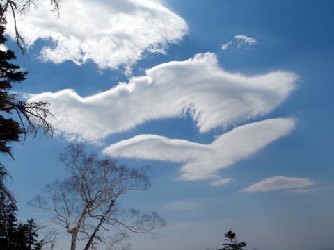 2013.5.3-6 白馬岳 小蓮華尾根(雪山)